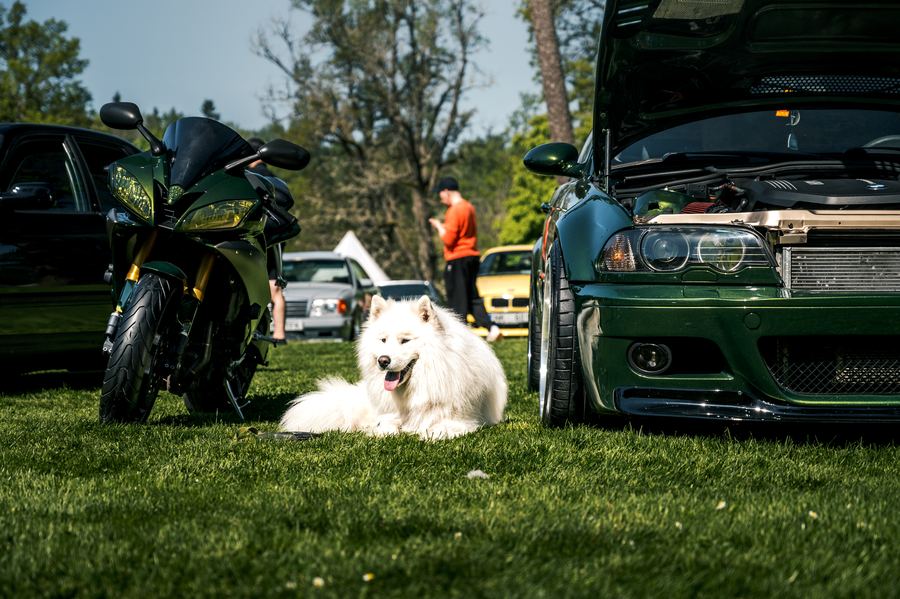 Cars&Castle 2026, event photo 1 by Jan Fred Joab